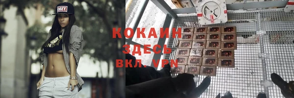 амф Елабуга