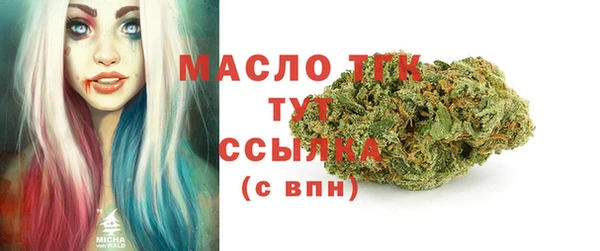 ALPHA PVP Ельня