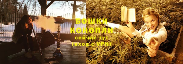 ALPHA PVP Ельня