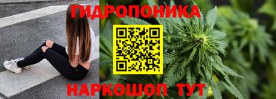 сатива Беслан