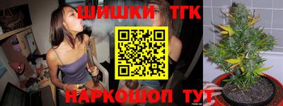 сатива Беслан