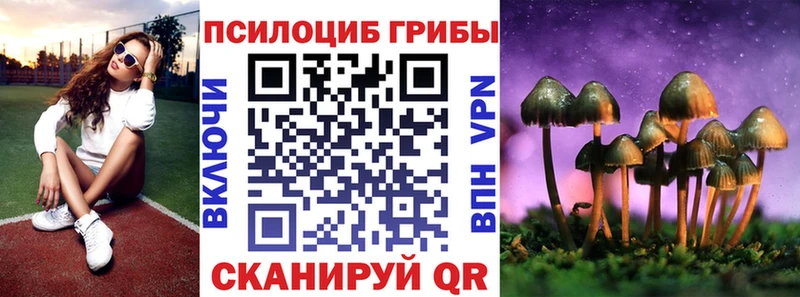 Галлюциногенные грибы Psilocybine cubensis  сколько стоит  Куйбышев 